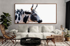Pixalot ® Strong Nguni