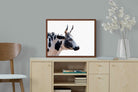 Pixalot ® Strong Nguni