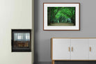 Pixalot ® Summer Trees