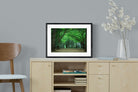 Pixalot Summer Trees