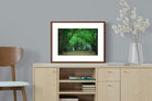 Pixalot ® Summer Trees