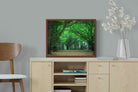 Pixalot ® Summer Trees