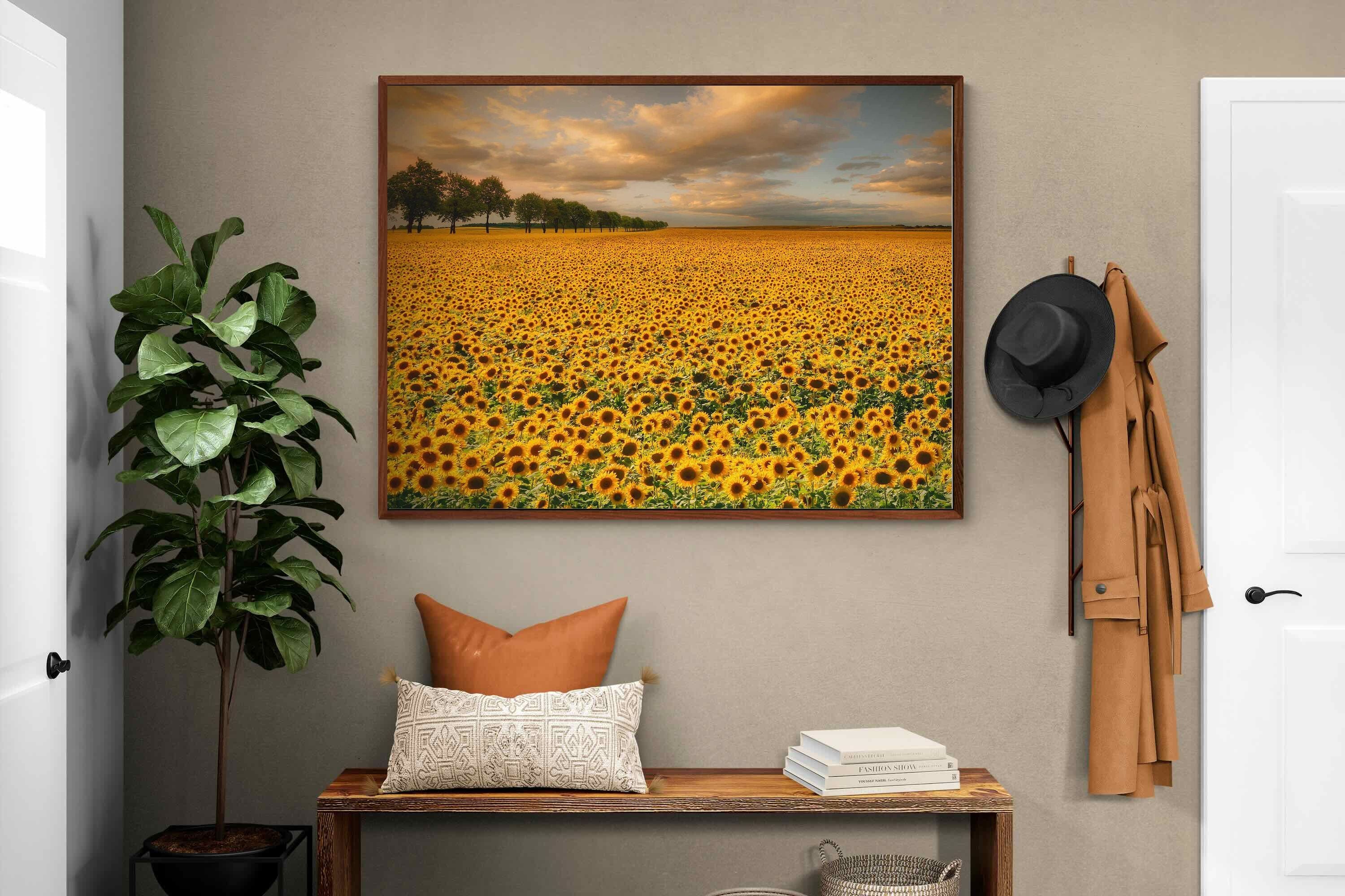 Pixalot ® Sunflower Field