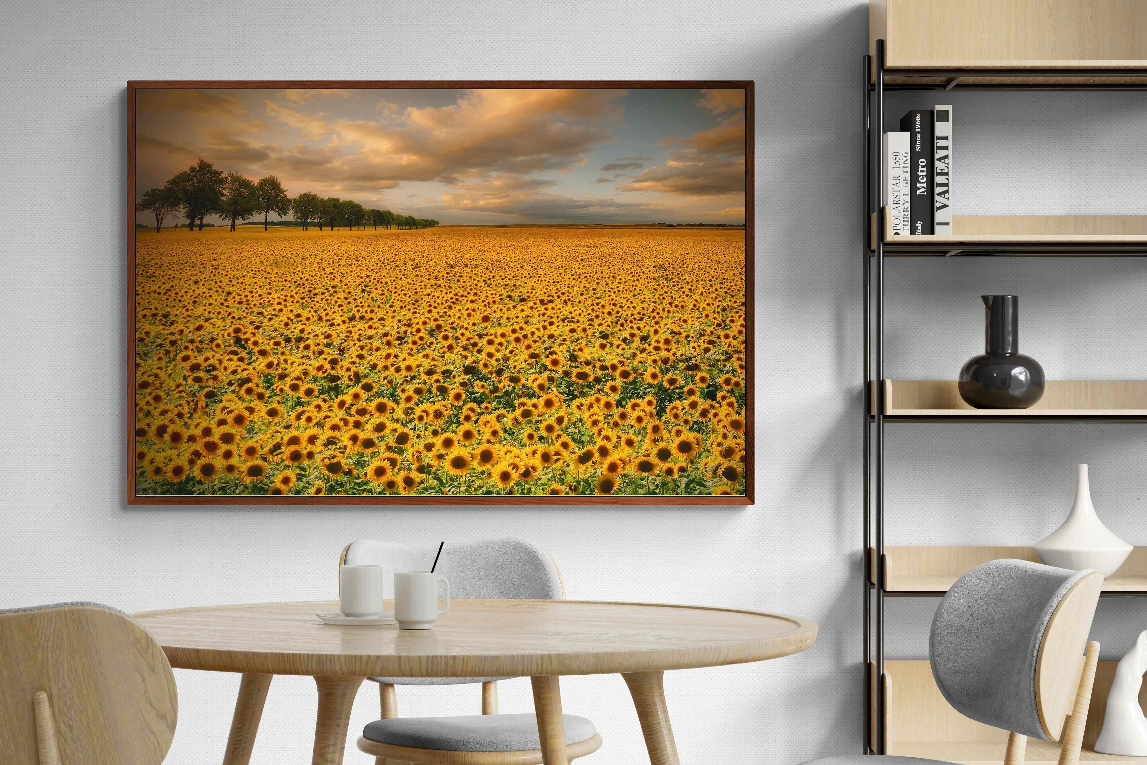 Pixalot ® Sunflower Field