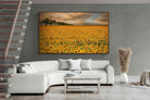 Pixalot ® Sunflower Field