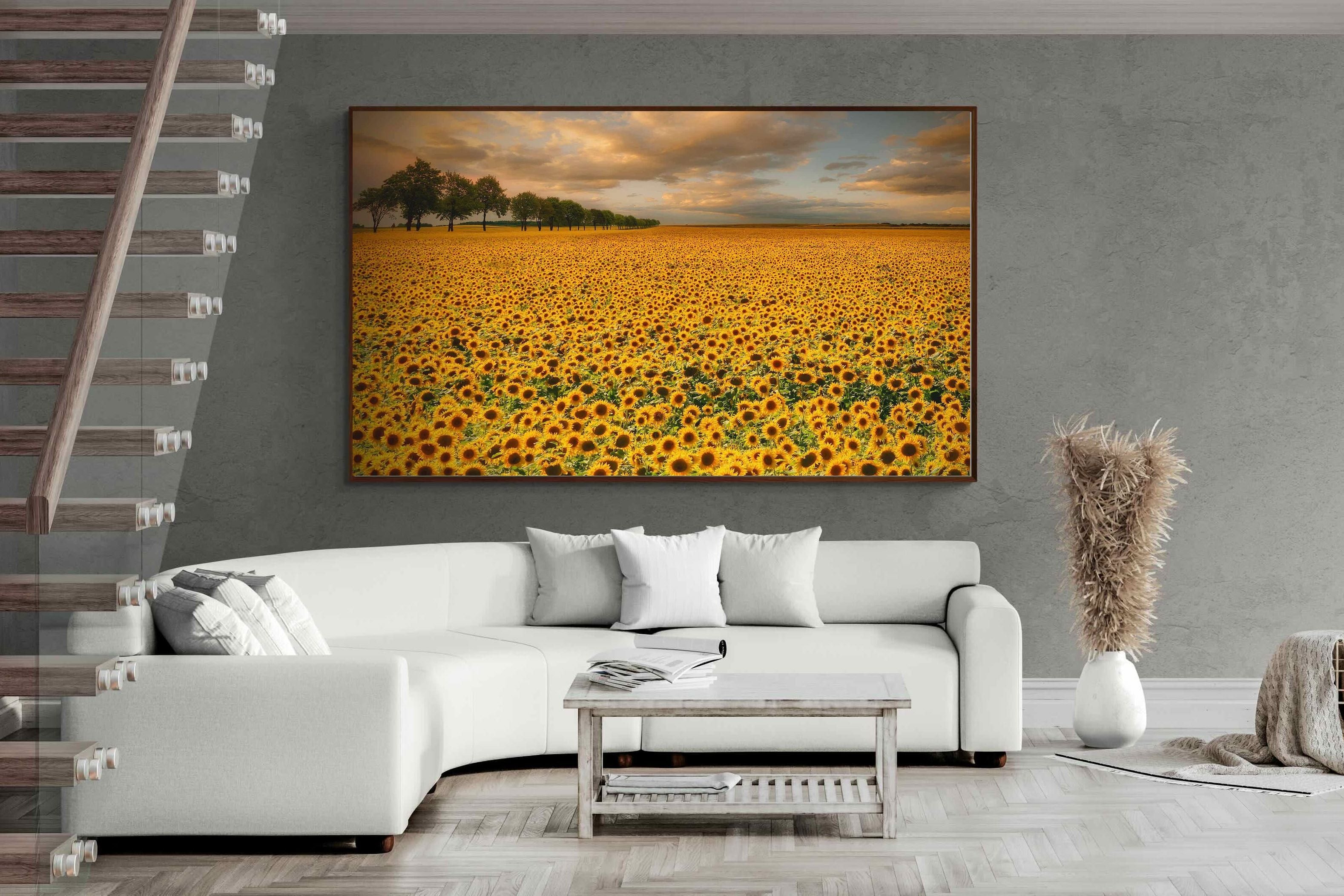 Pixalot ® Sunflower Field