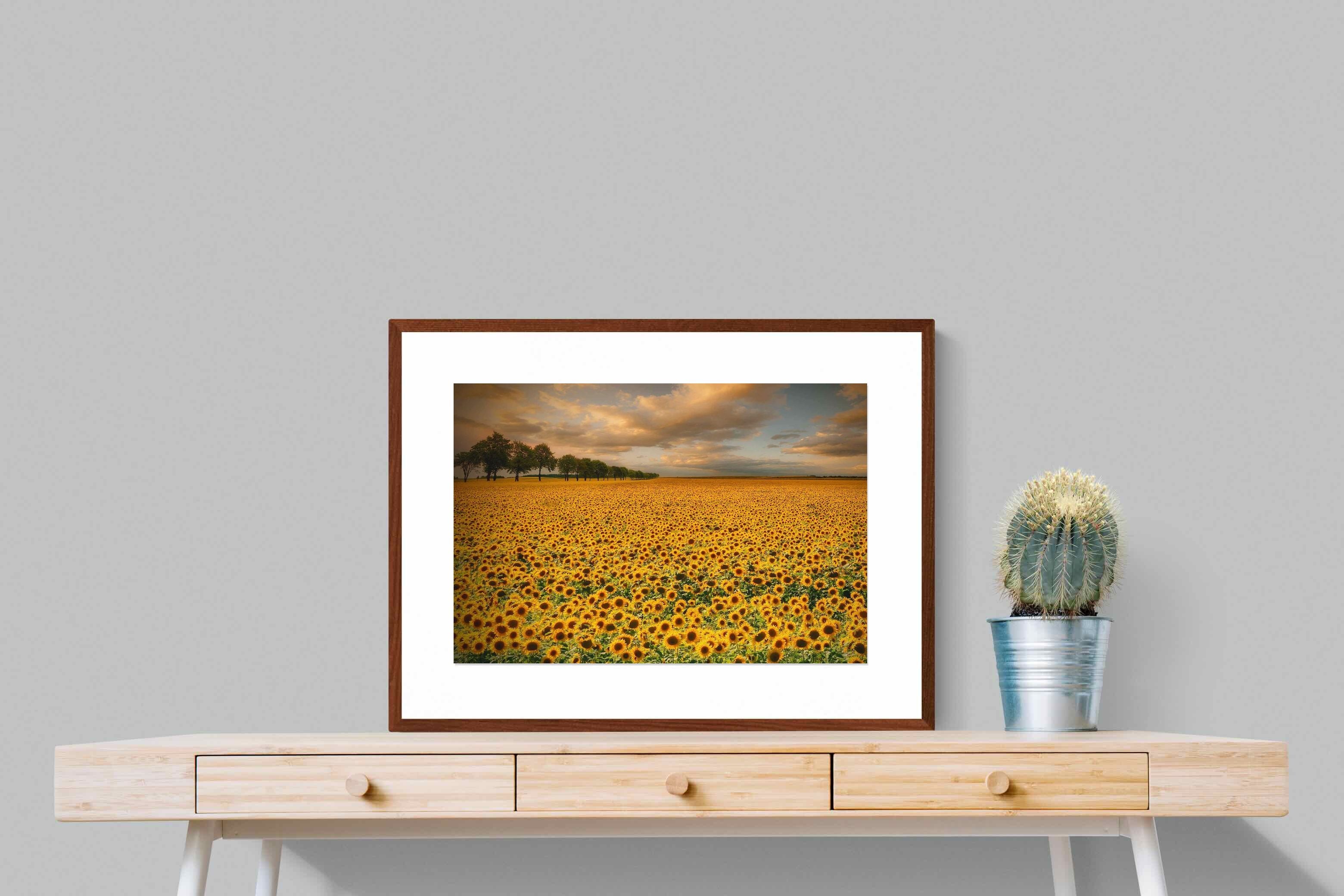 Pixalot ® Sunflower Field