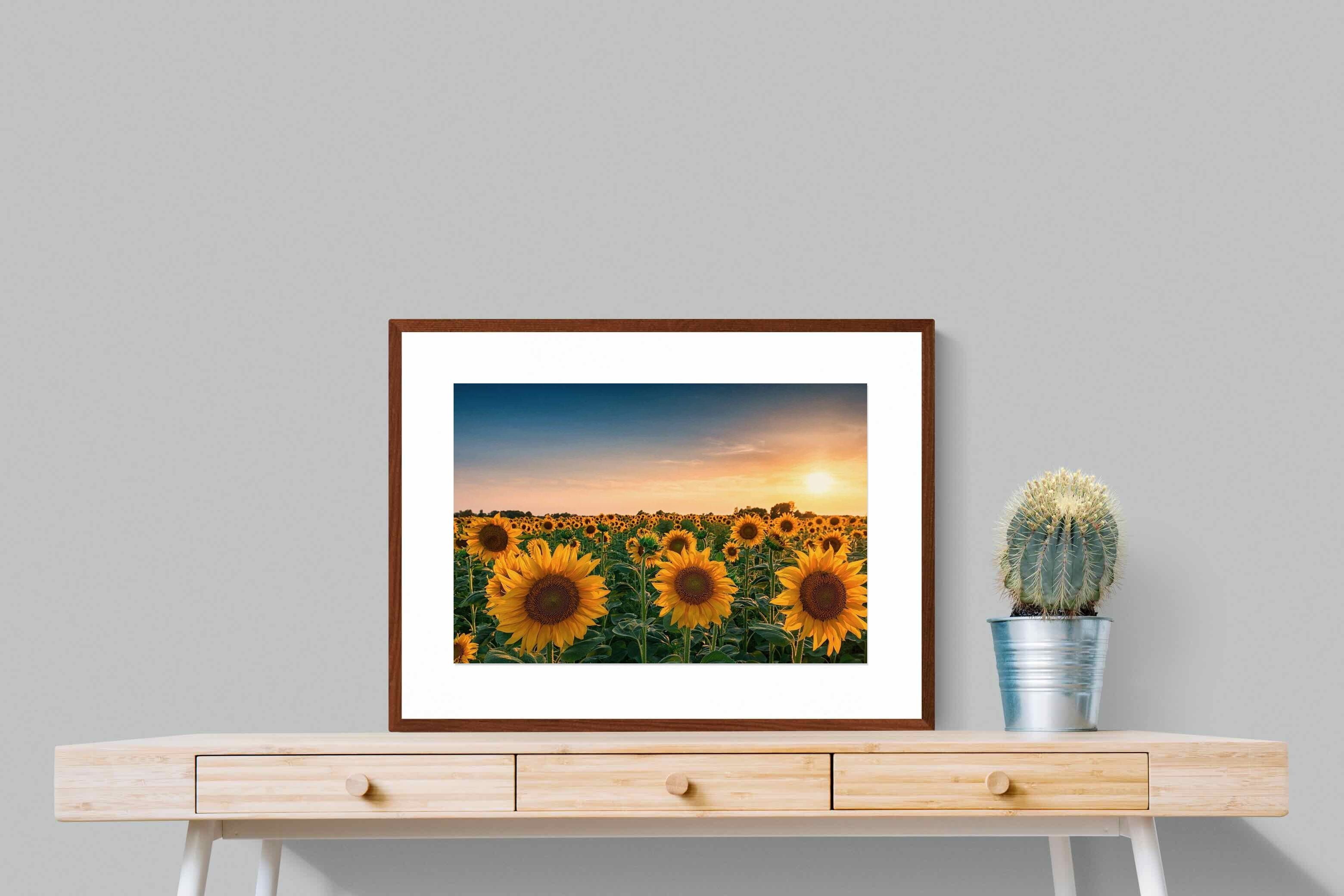 Pixalot ® Sunflowers