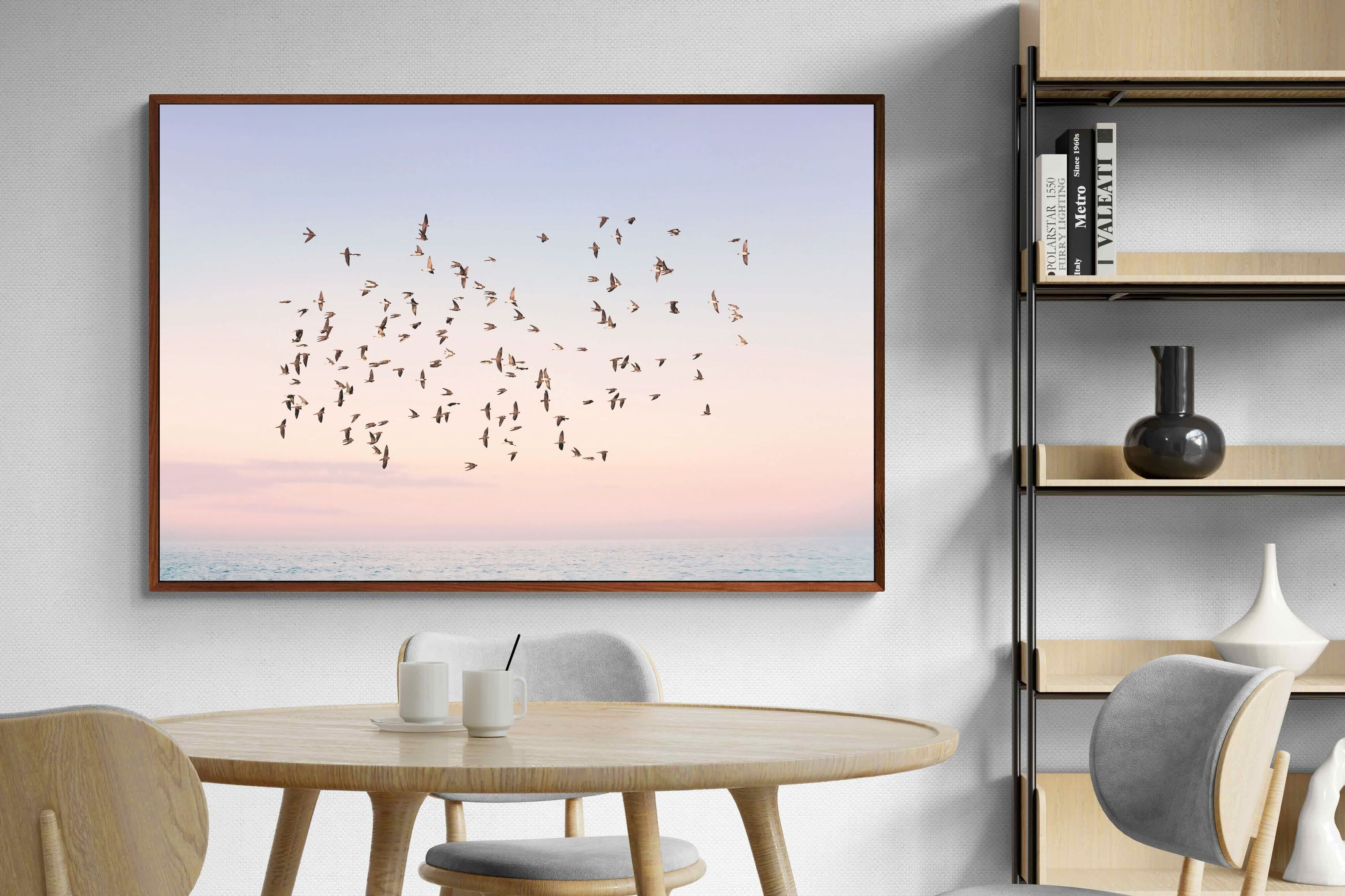 Pixalot Sunset Flight