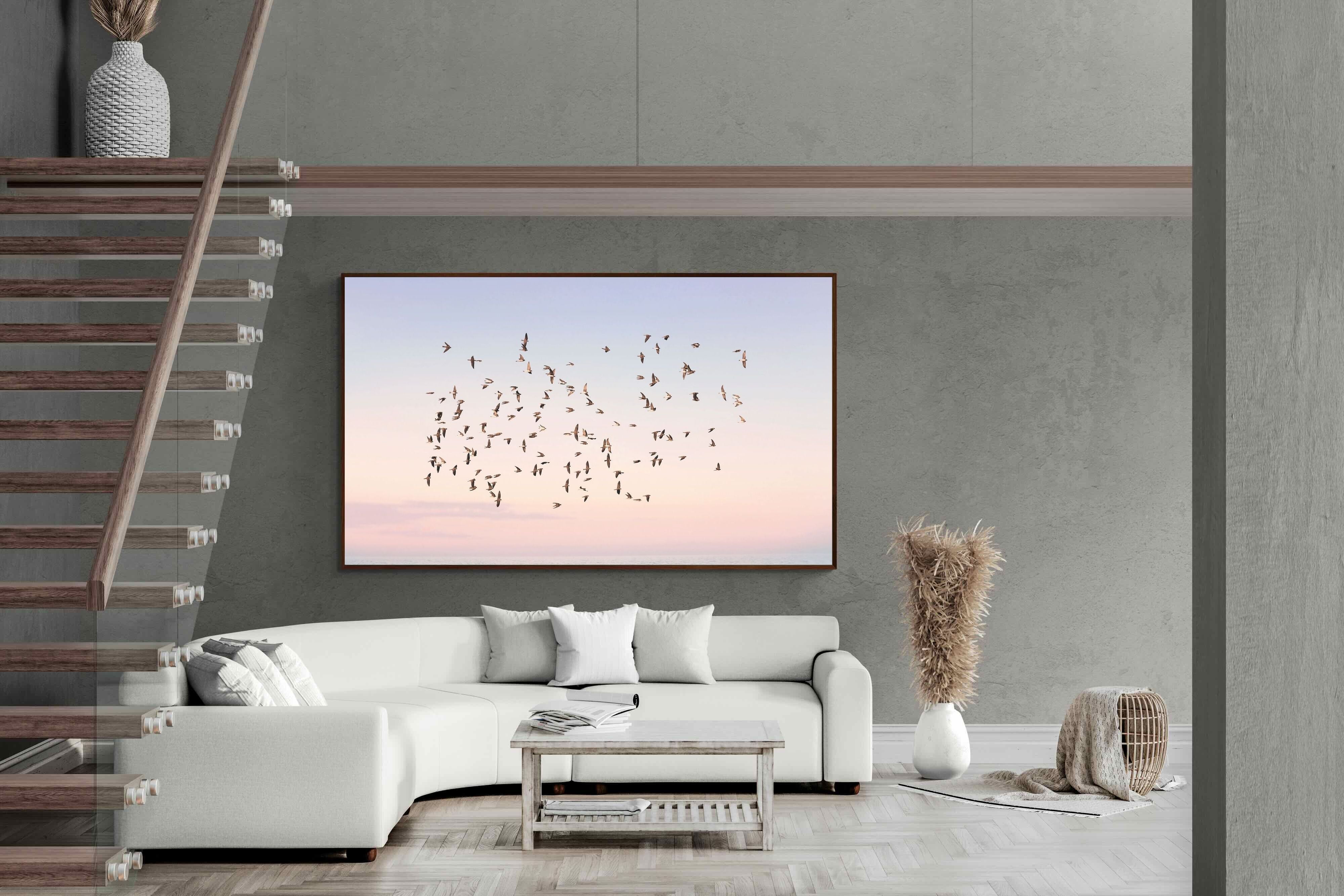 Pixalot Sunset Flight