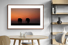 Pixalot ® Sunset Tuskers