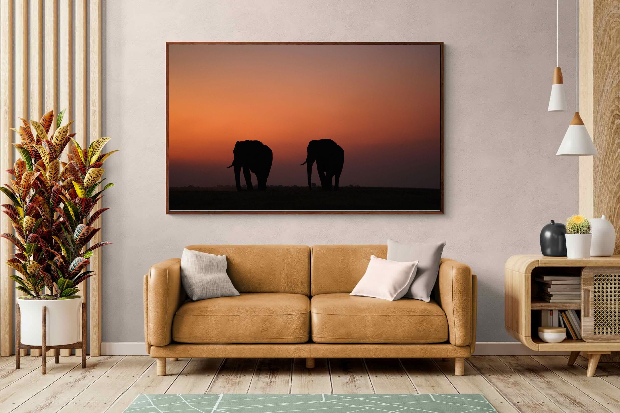 Pixalot ® Sunset Tuskers