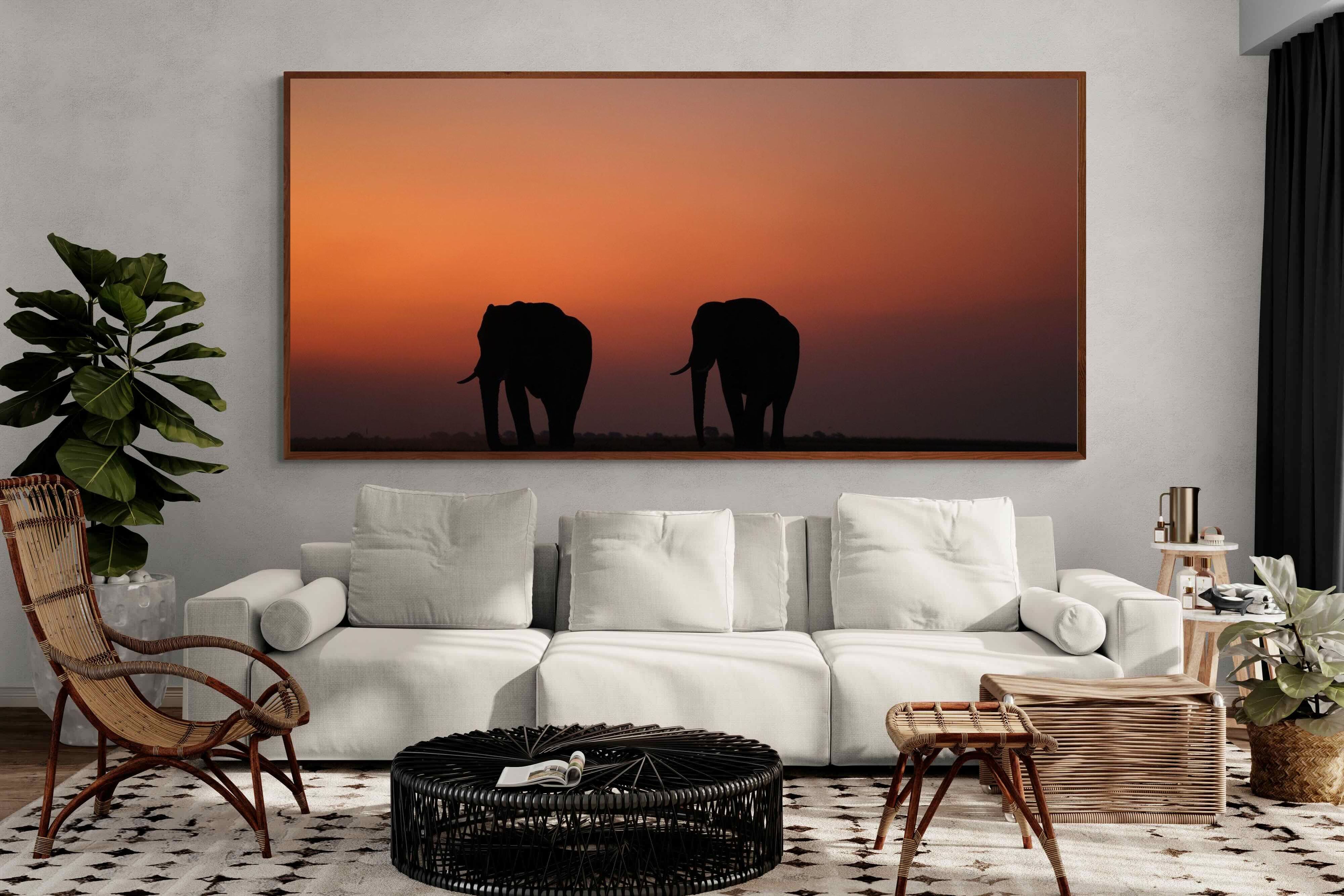 Pixalot ® Sunset Tuskers