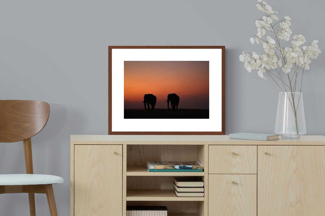 Pixalot ® Sunset Tuskers