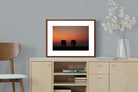 Pixalot ® Sunset Tuskers