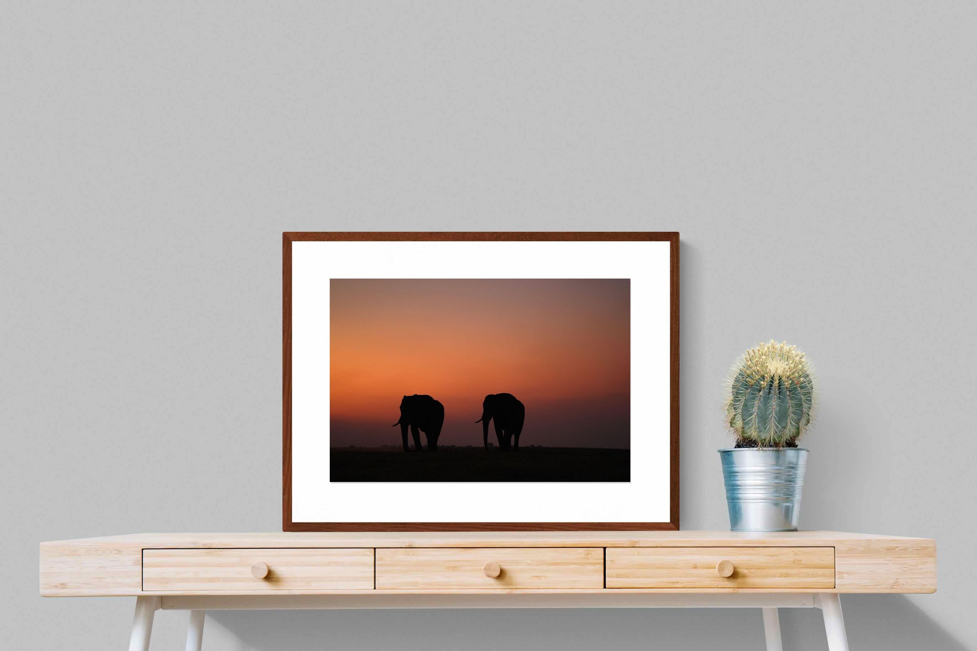 Pixalot ® Sunset Tuskers