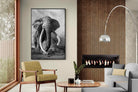 Pixalot Super Tusker