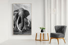 Pixalot Super Tusker