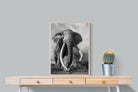 Pixalot Super Tusker