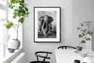 Pixalot Super Tusker
