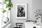 Pixalot Super Tusker