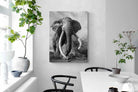 Pixalot Super Tusker