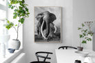 Pixalot Super Tusker