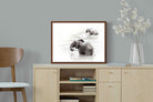 Pixalot Swimming Elephants (Landscape)