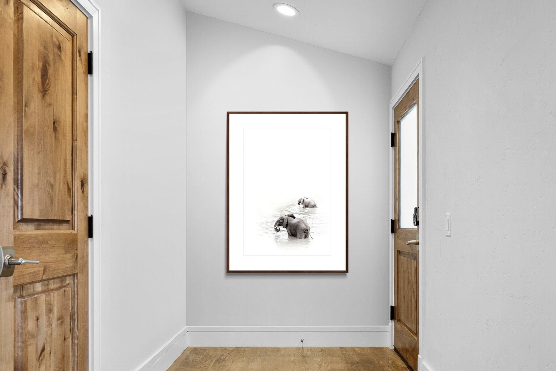 Pixalot Swimming Elephants