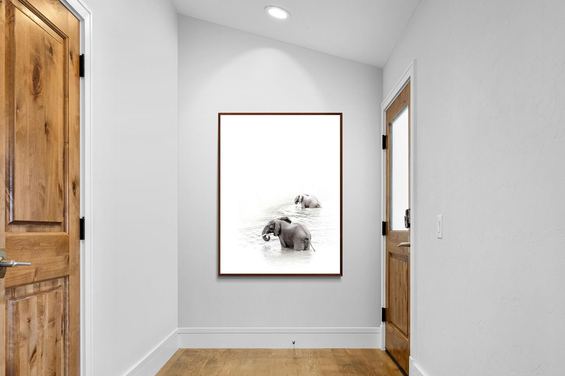 Pixalot Swimming Elephants