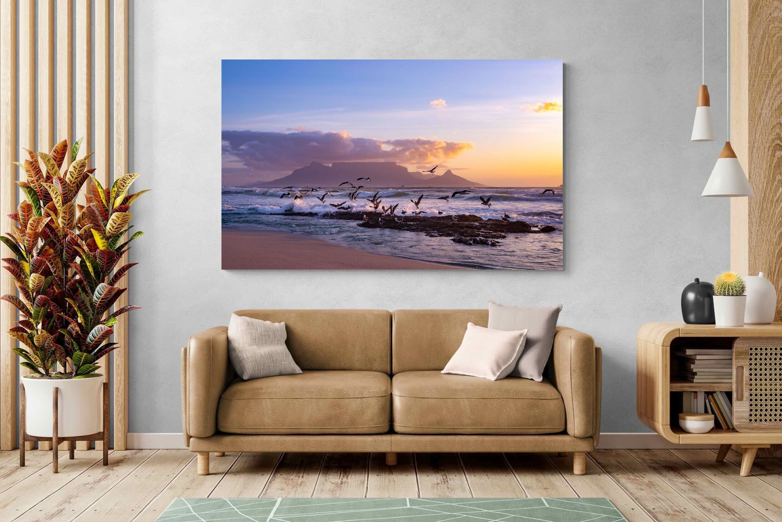 Pixalot Table Mountain Gulls