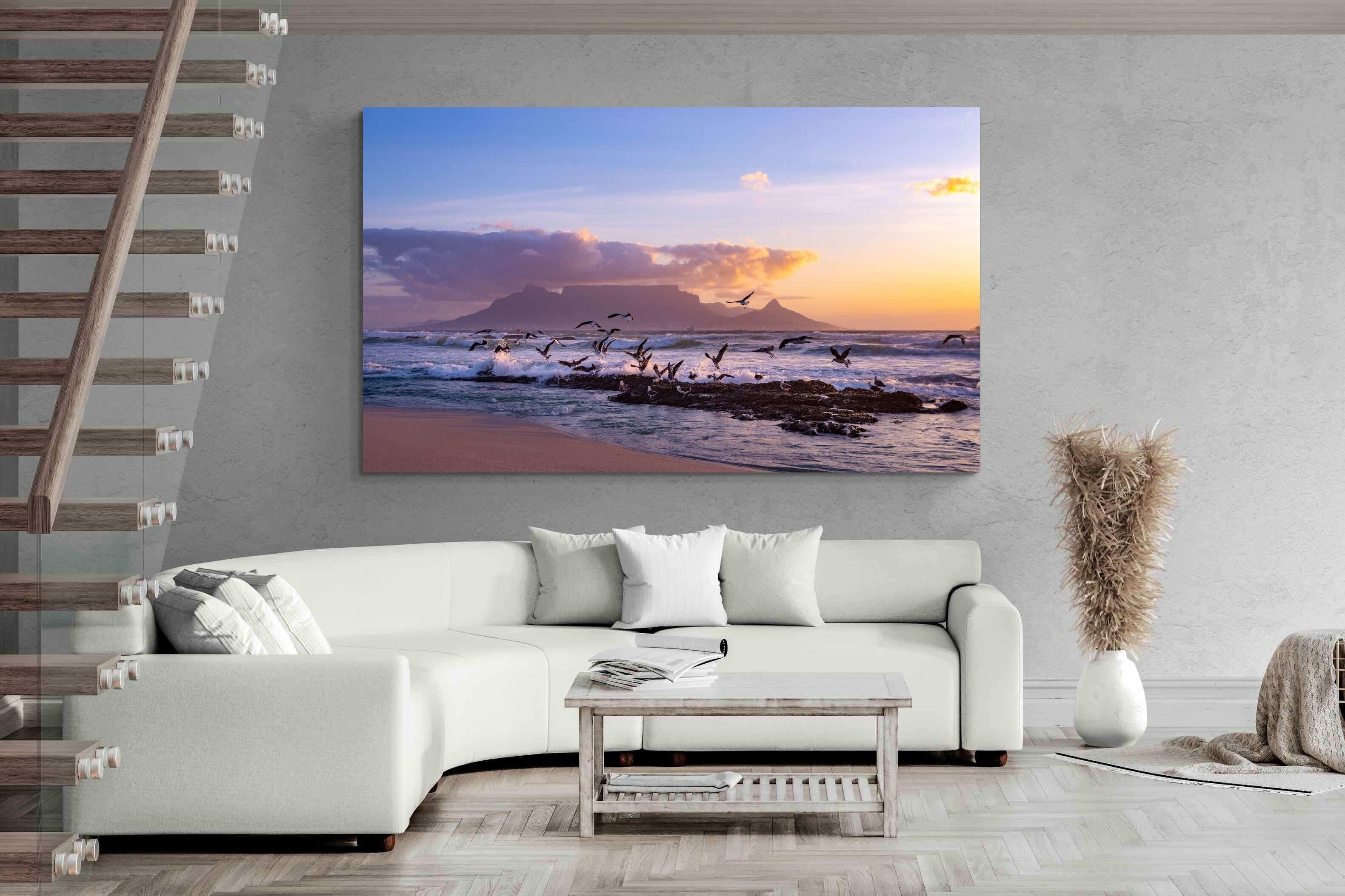 Pixalot Table Mountain Gulls