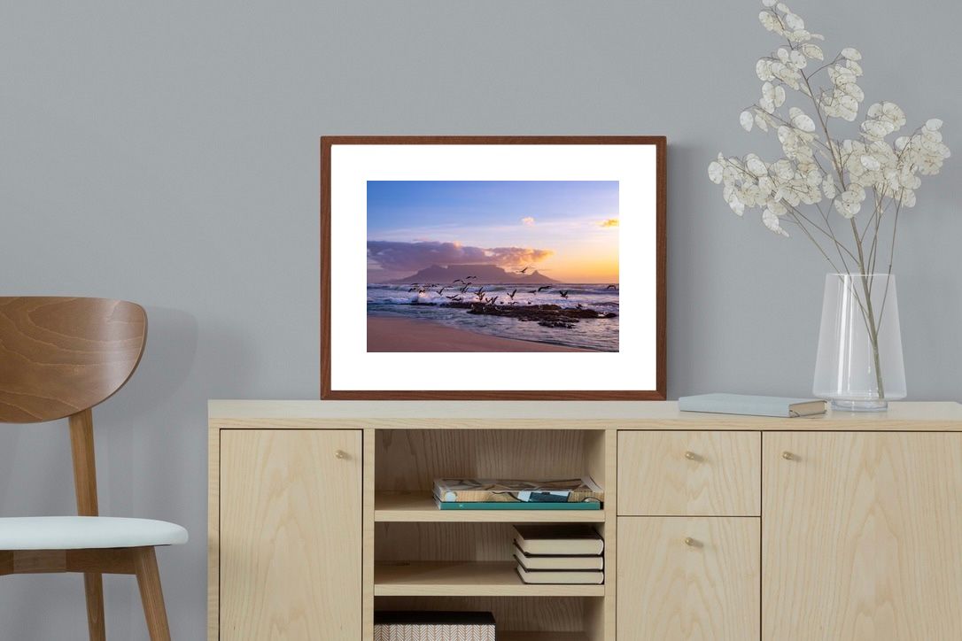 Pixalot ® Table Mountain Gulls
