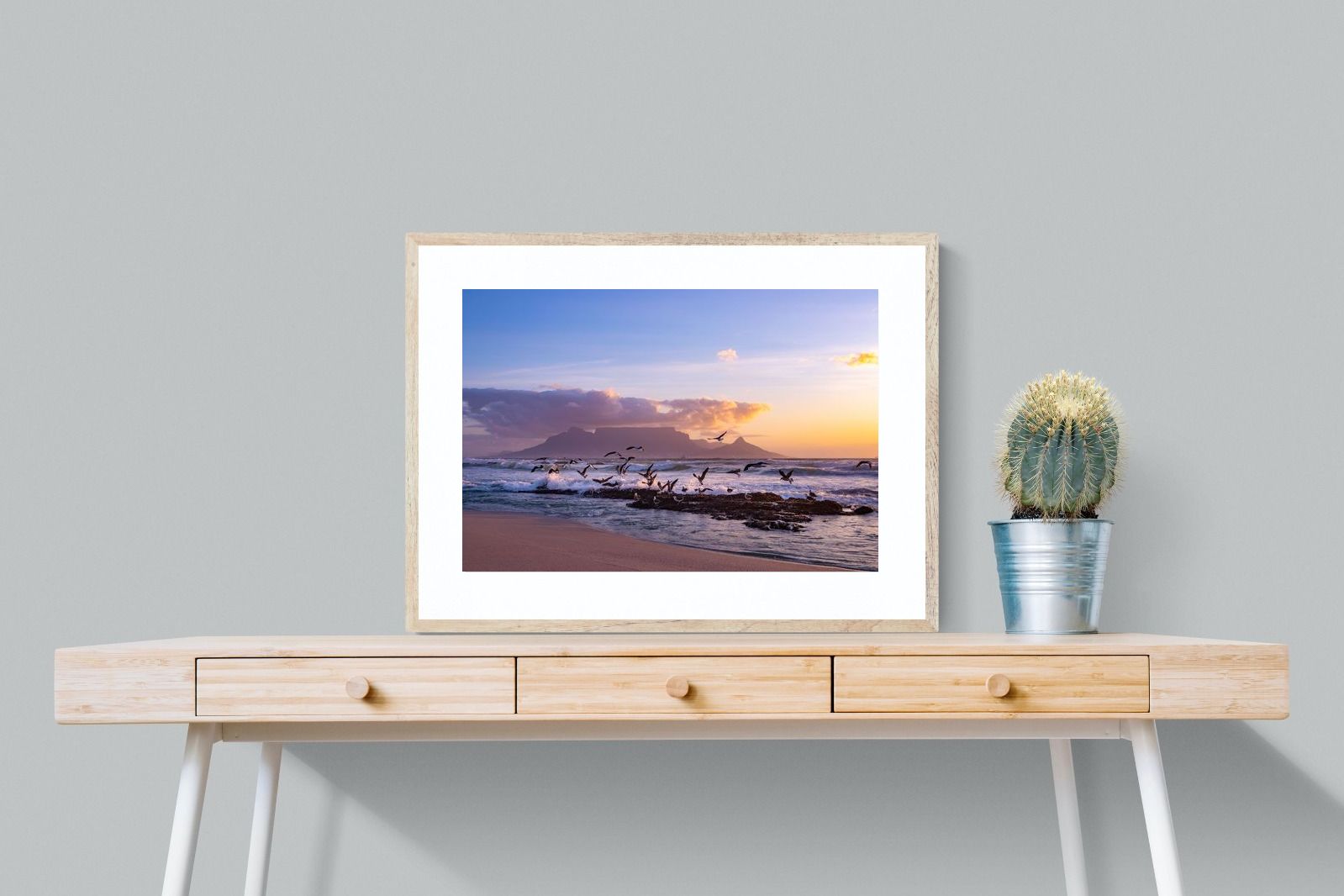 Pixalot Table Mountain Gulls