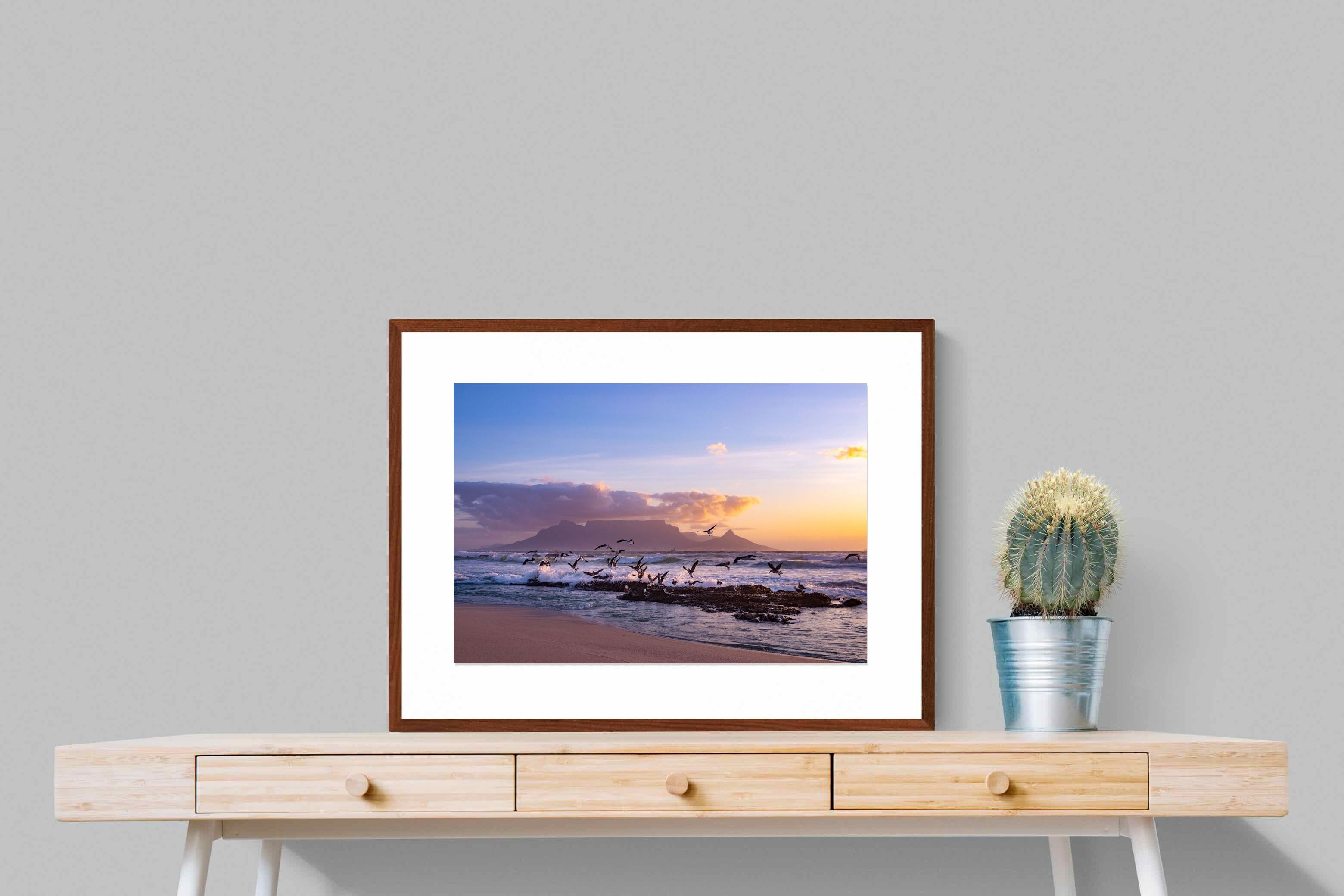 Pixalot ® Table Mountain Gulls