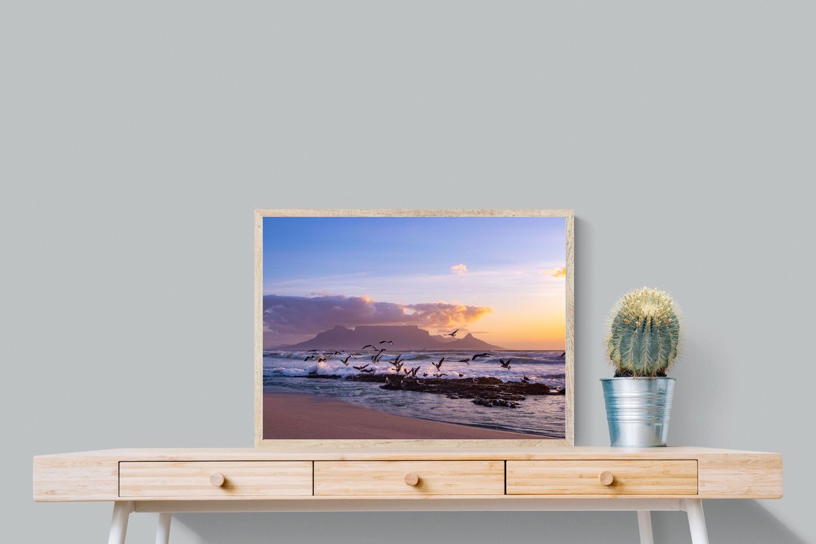 Pixalot Table Mountain Gulls