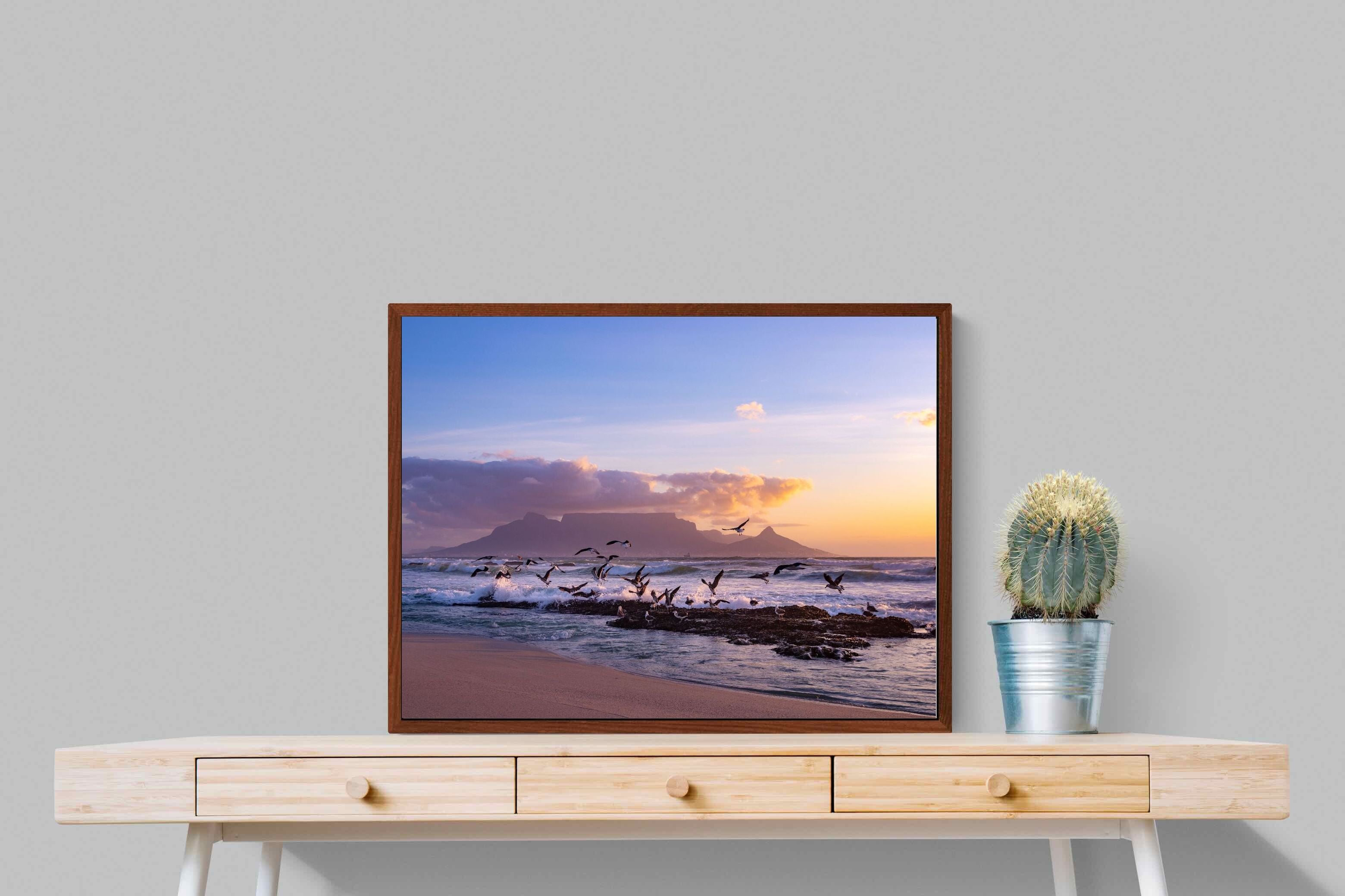 Pixalot ® Table Mountain Gulls
