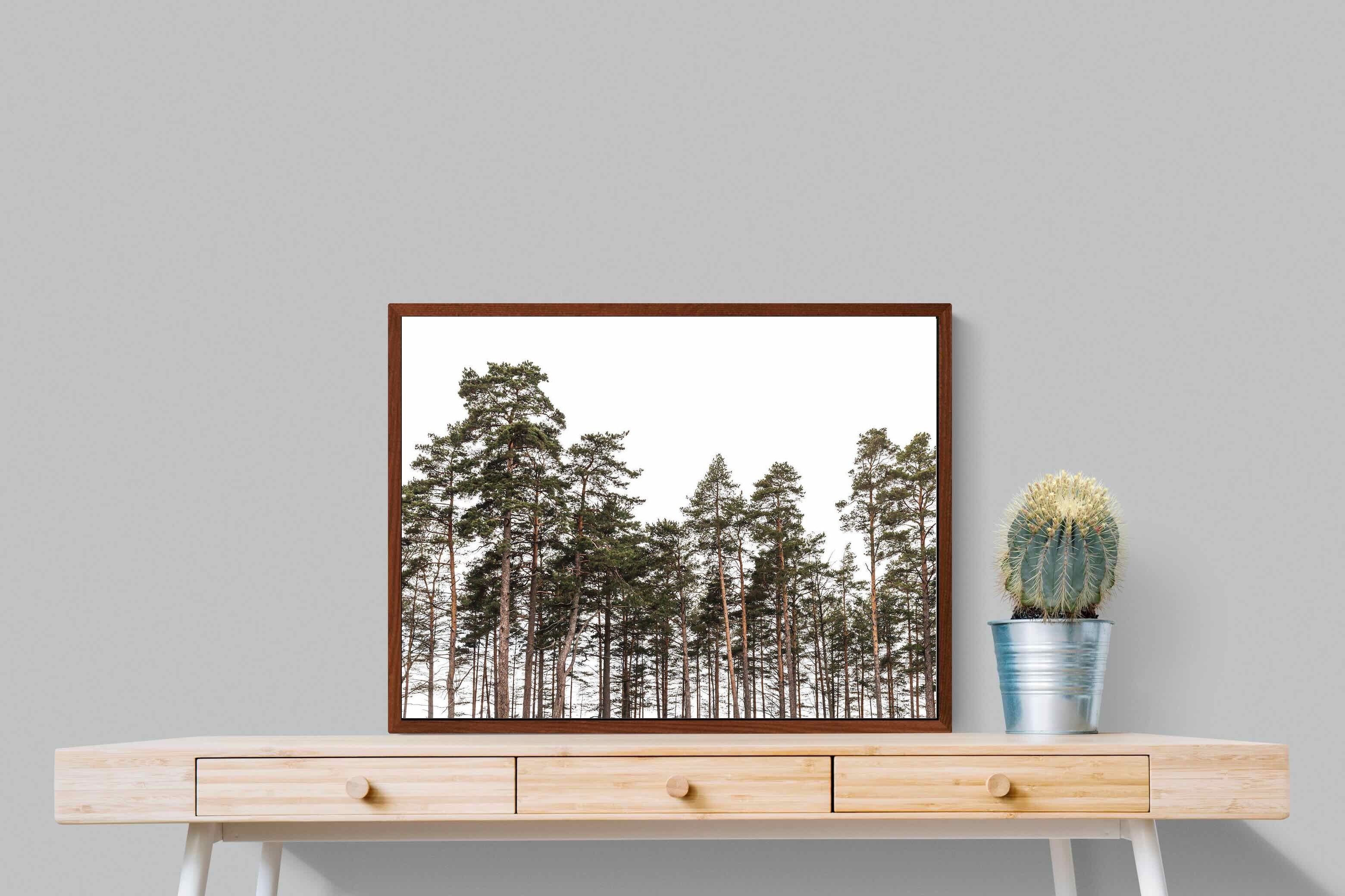 Pixalot ® Tall Pines