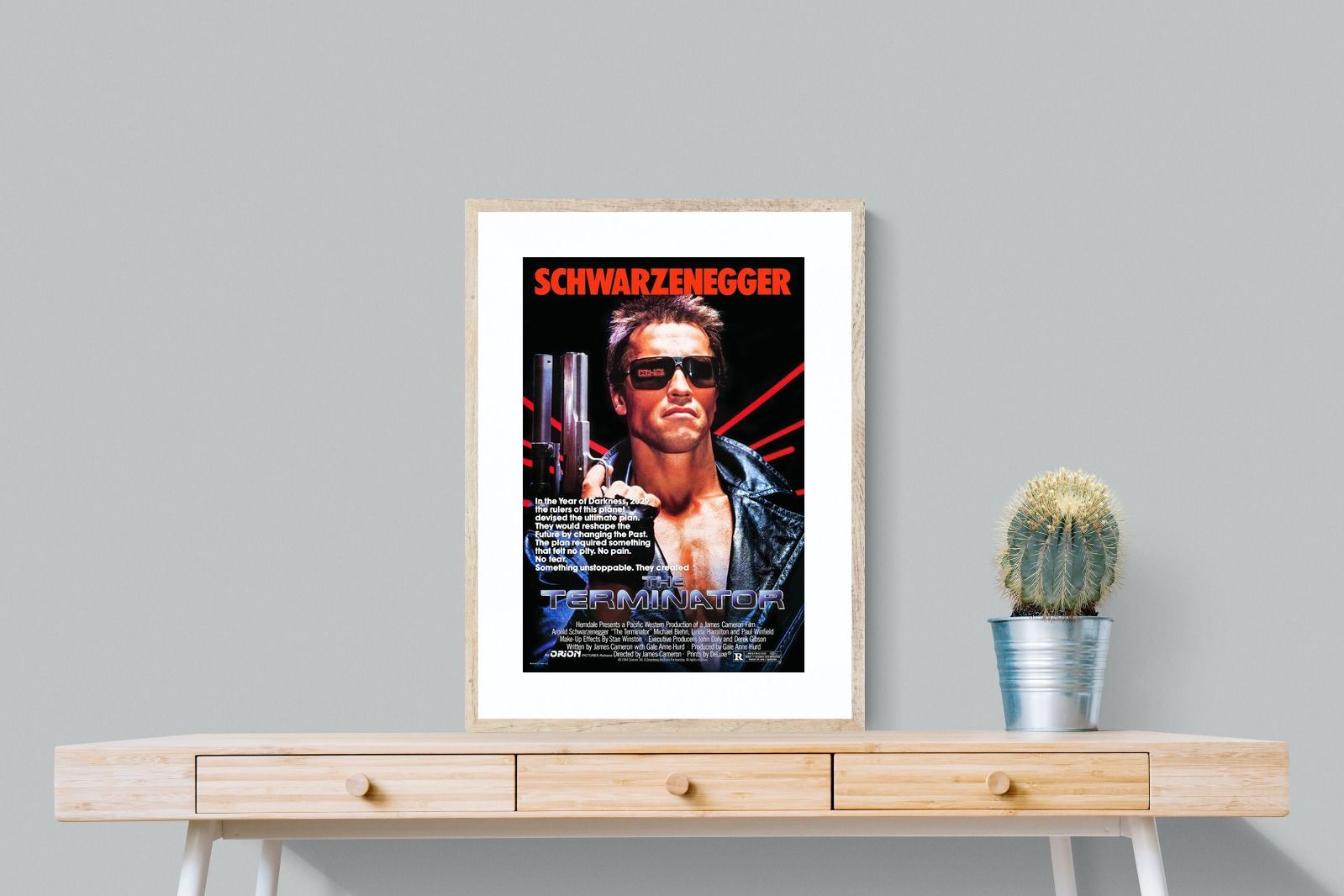 Pixalot Terminator