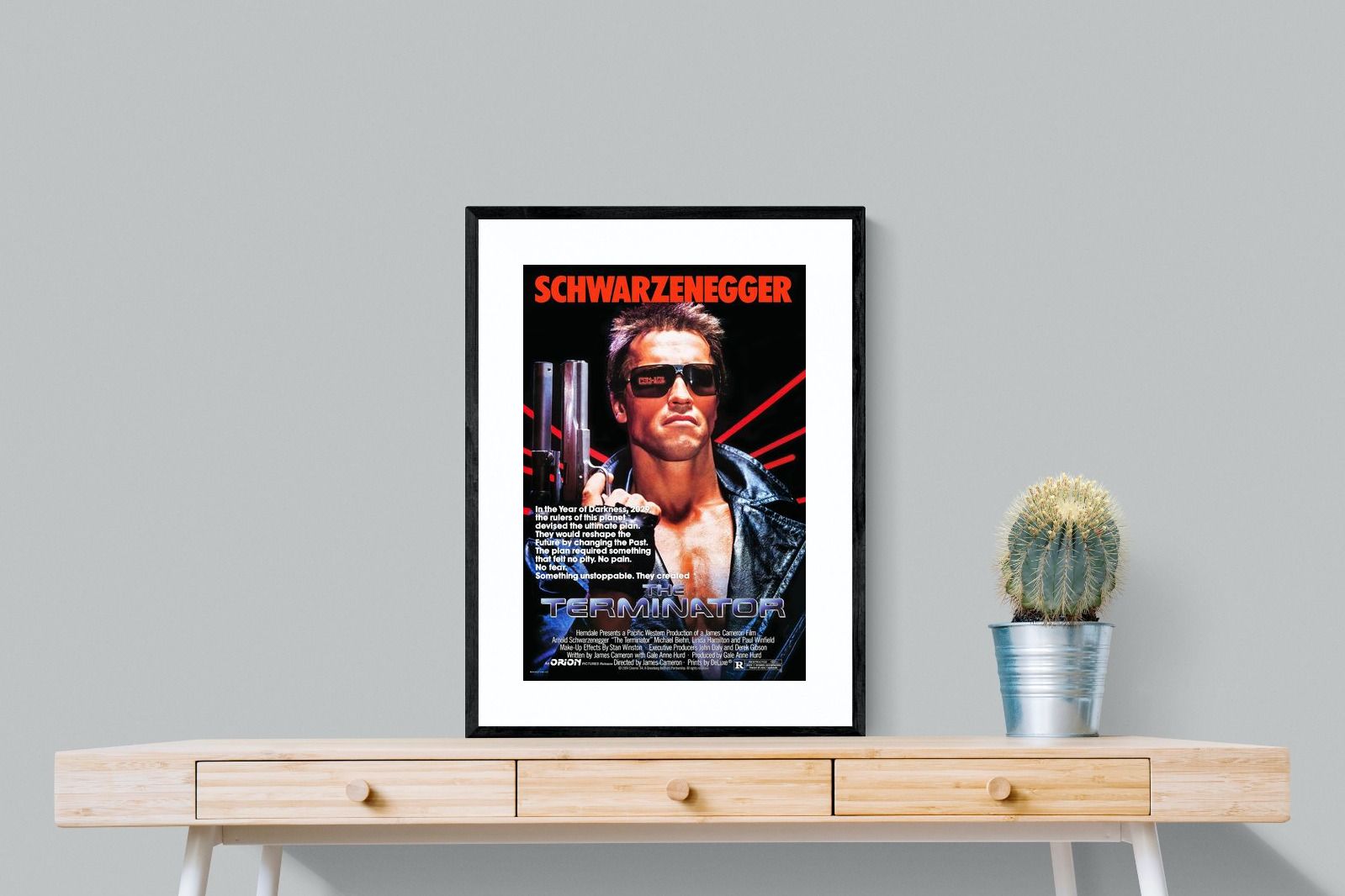 Pixalot Terminator