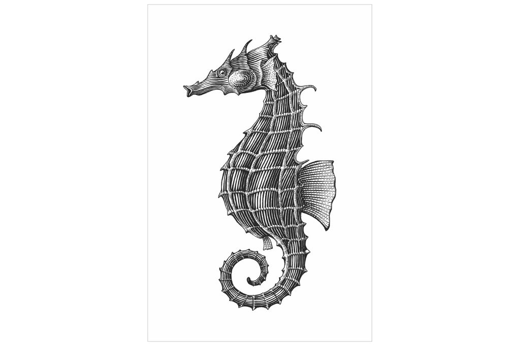 Tideborne Sentinel