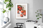 Pixalot Tomato Vine