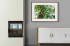 Pixalot ® Tree Canopy