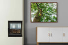 Pixalot ® Tree Canopy