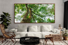 Pixalot ® Tree Canopy