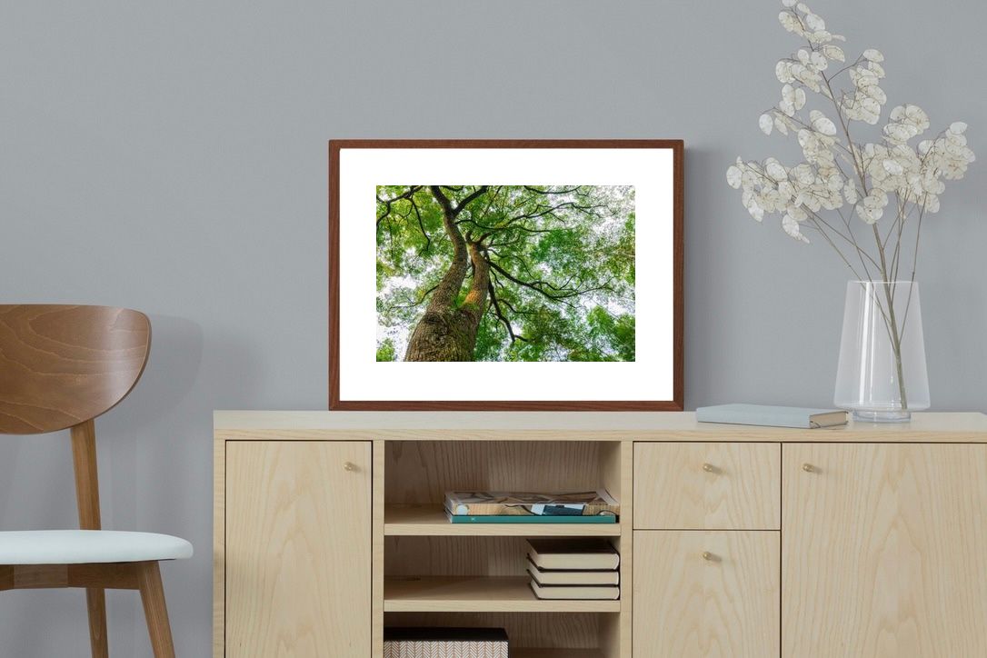 Pixalot ® Tree Canopy
