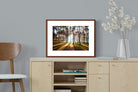 Pixalot ® Tree Light