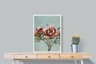 Pixalot Tree Peonies