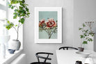 Pixalot Tree Peonies
