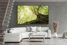 Pixalot ® Tree